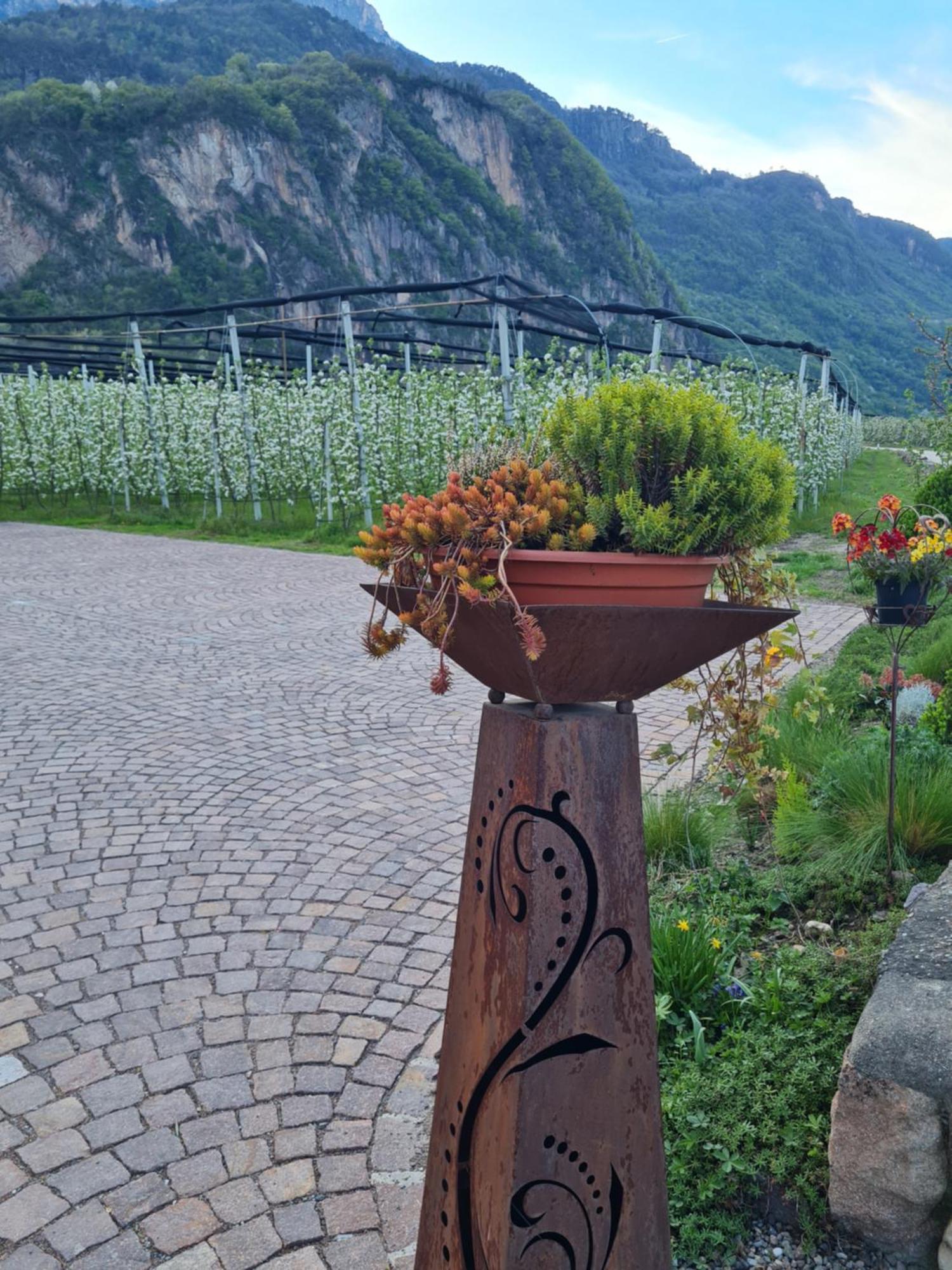 Versigglhof Appiano Sulla Strada Del Vino Exterior foto
