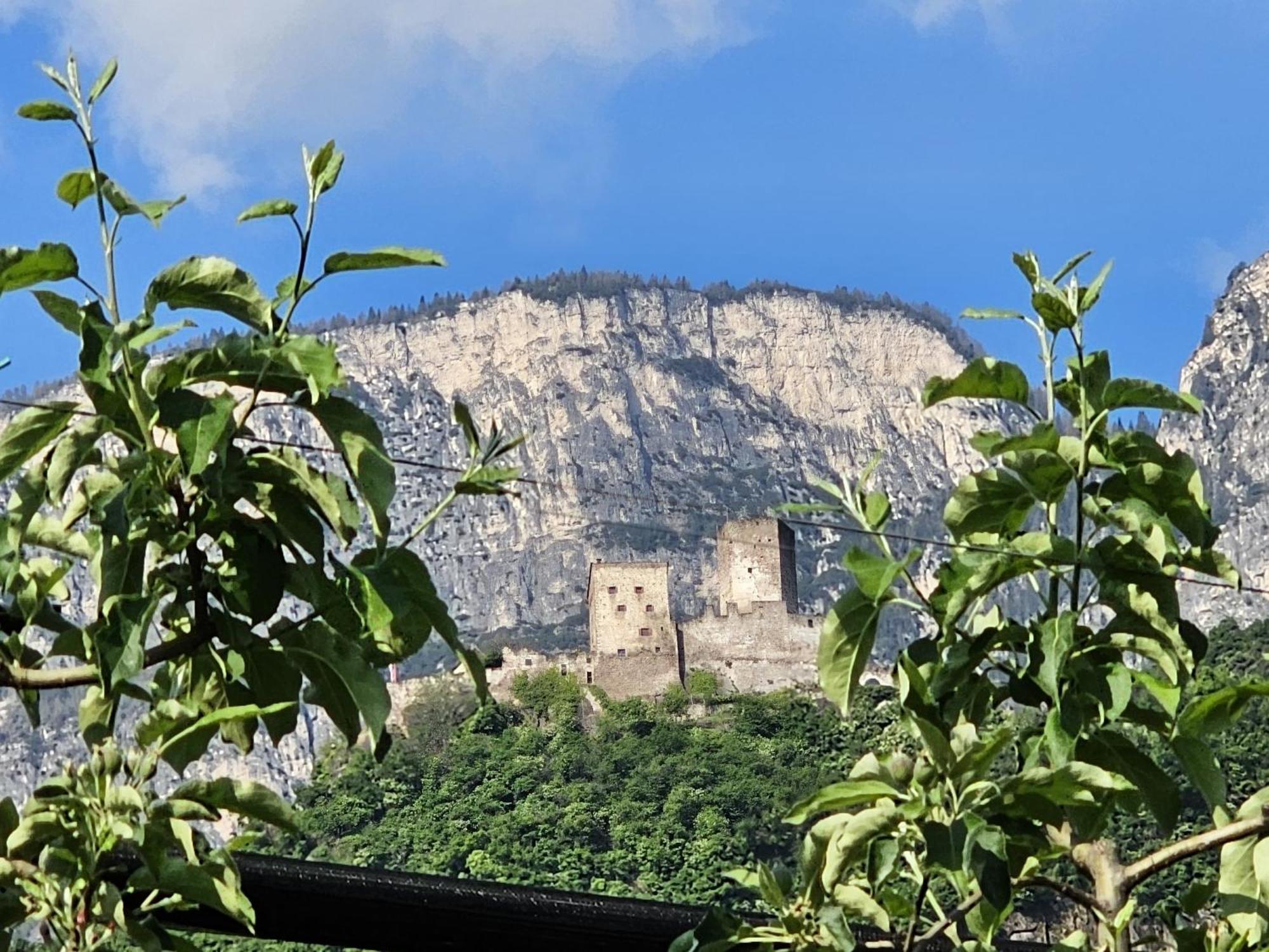 Versigglhof Appiano Sulla Strada Del Vino Exterior foto
